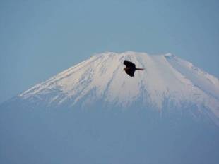 快晴の青に映える色