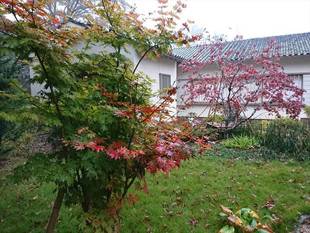 雨の日のすすめ