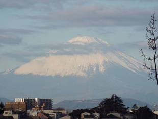 1月4日より開園