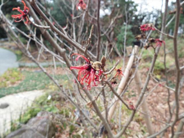 DSCF6564_R.jpg