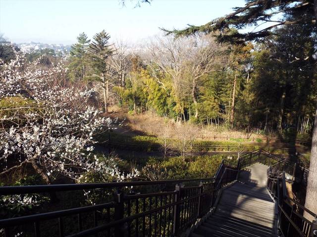 DSCF6638_R.jpg