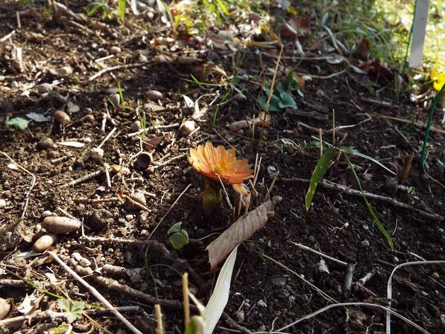 DSCF6709_R.jpg