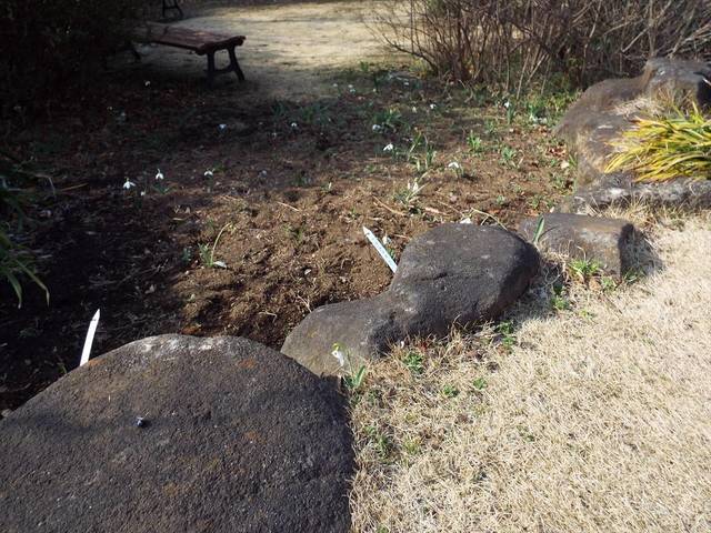 DSCF6724_R.jpg