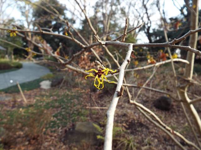 DSCF6749_R.jpg