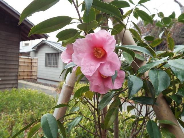 DSCF6756_R.jpg