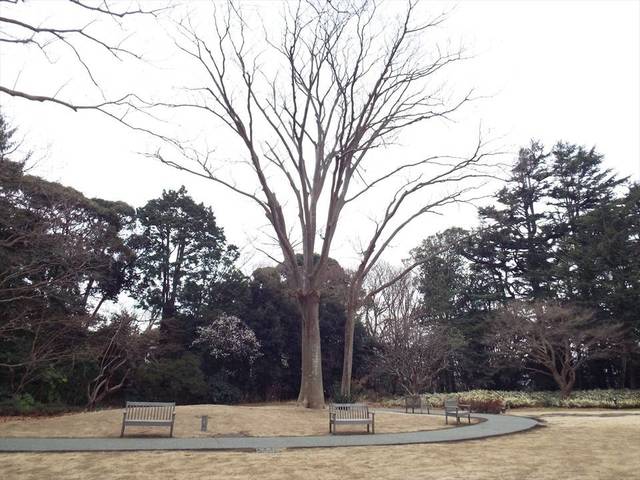 DSCF6766_R.jpg