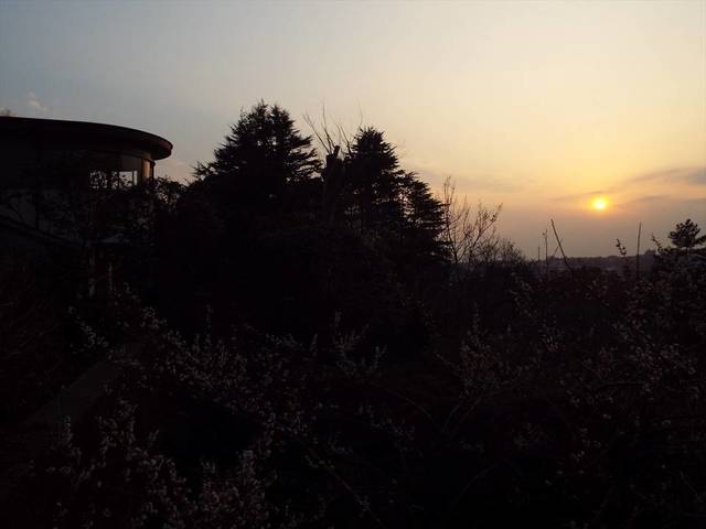 DSCF6788_R.jpg