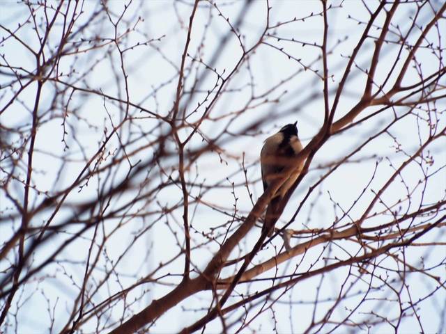 DSCF6791_R.jpg