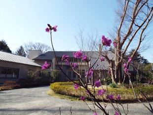 春風ときどき突風