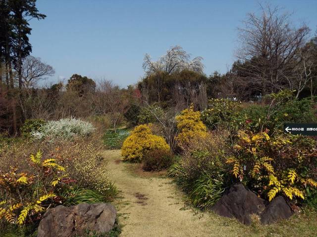 花冷えの写真
