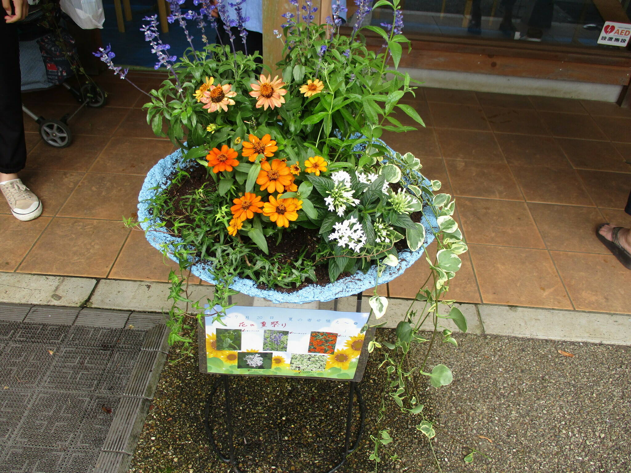 寄せ植え教室の写真