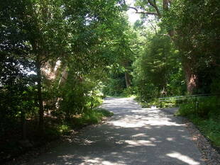 俣野別邸庭園へ涼を求めに来ませんか