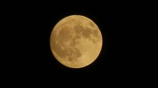 繊細な竪琴の調べに酔いました。