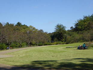 外苑区再開しました＼(^o^)／