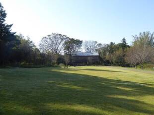 11/1 再び外苑区を再開しました（*^_^*）