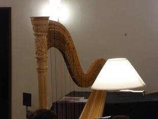 冬晴れの一日、もみじに囲まれて...