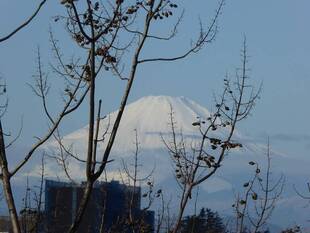 令和元年を振り返って