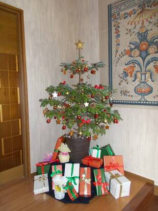 俣野別邸でクリスマス