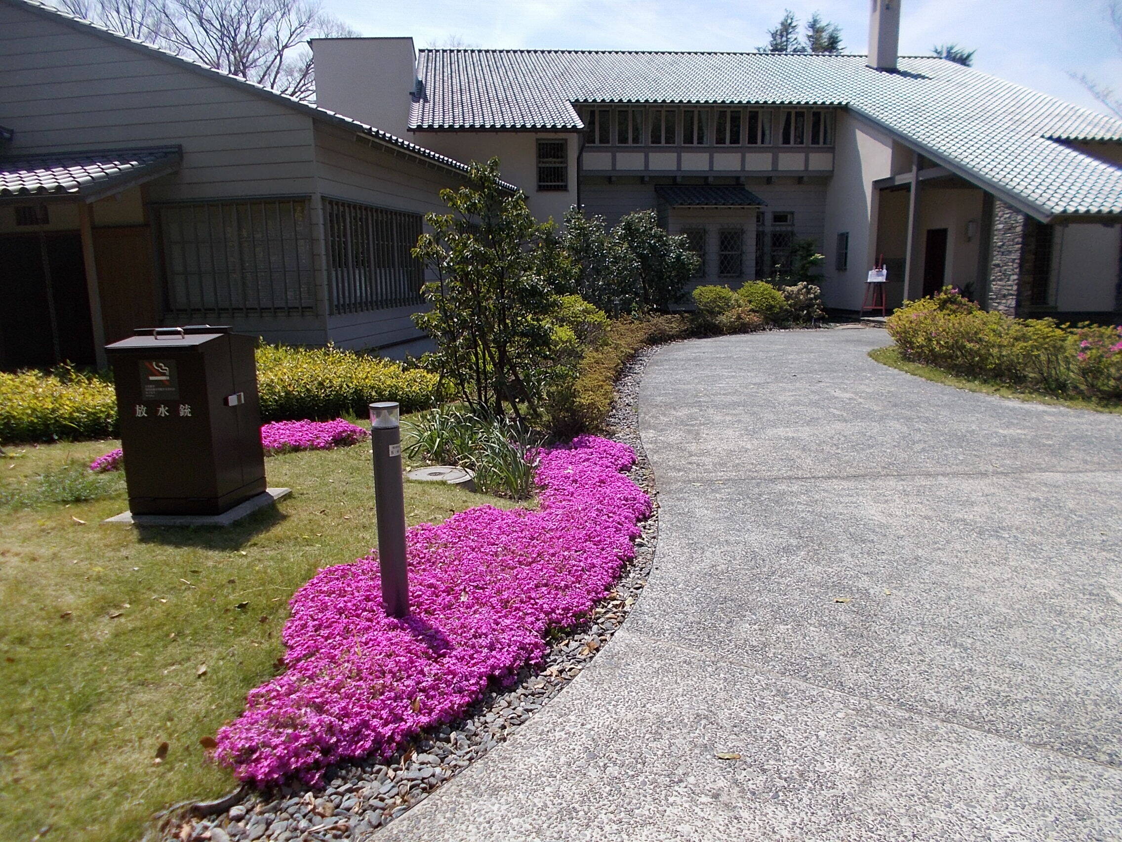 俣野別邸庭園の桜と春の花々(4月15日)の写真