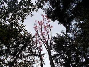 雨あがりの春の日
