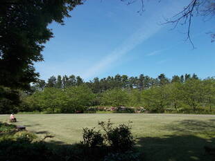 風が爽やかな季節