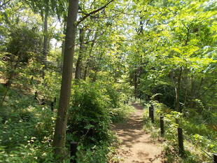 初夏のような日差しの中で