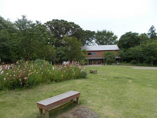 5月 薄曇りの空の下