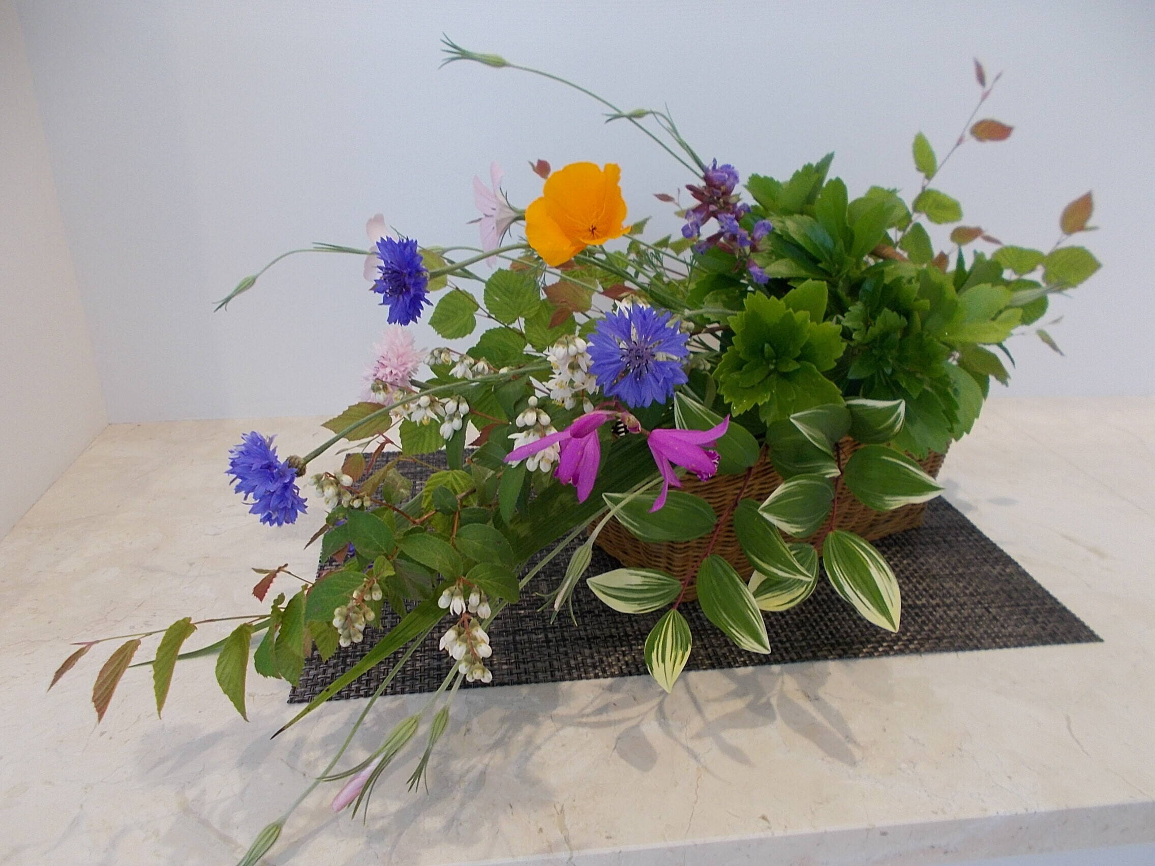 庭園の花たちの写真