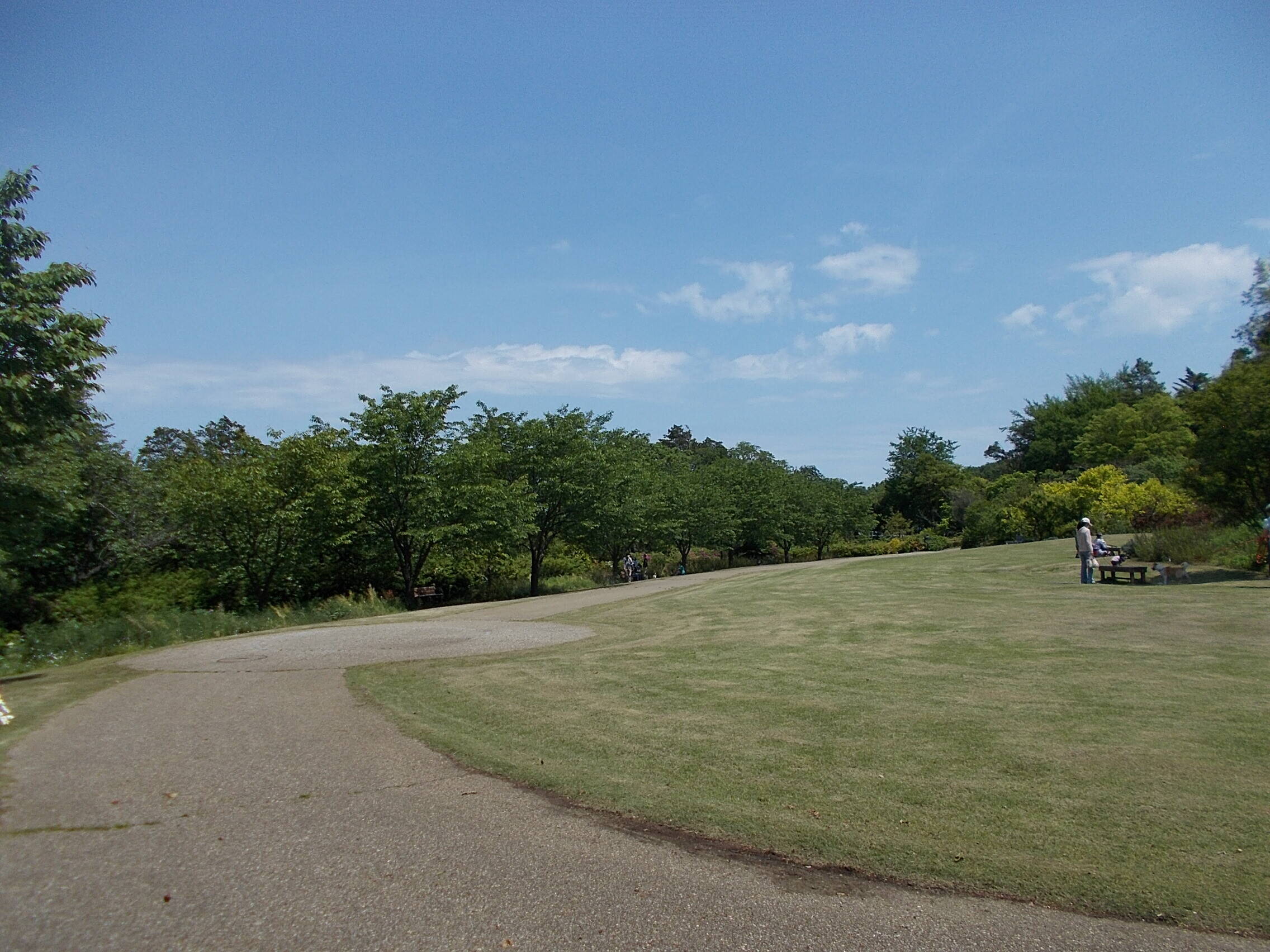 立夏の写真