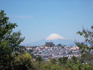 俣野別邸庭園から見える富士山