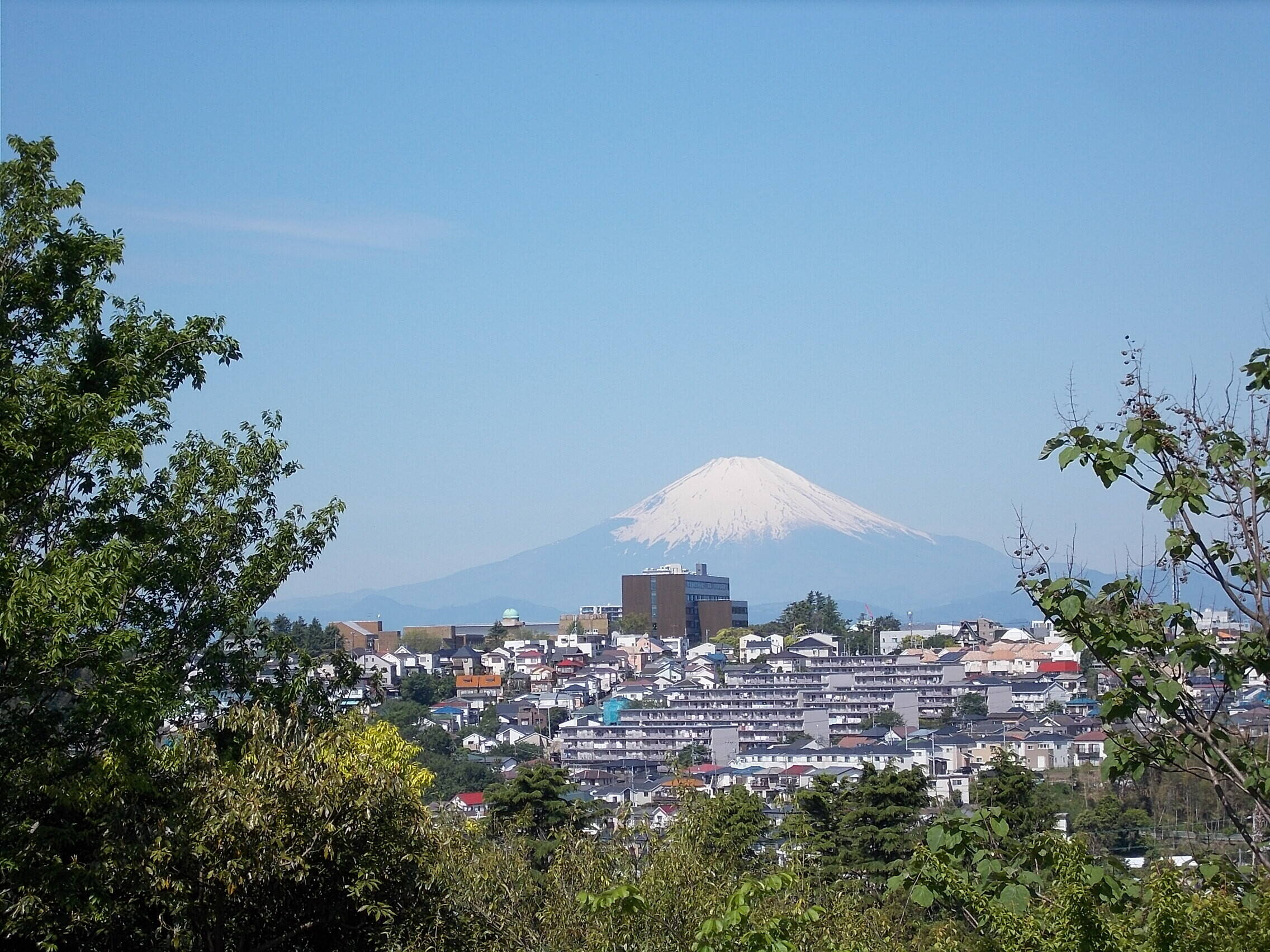 俣野別邸庭園から見える富士山の写真