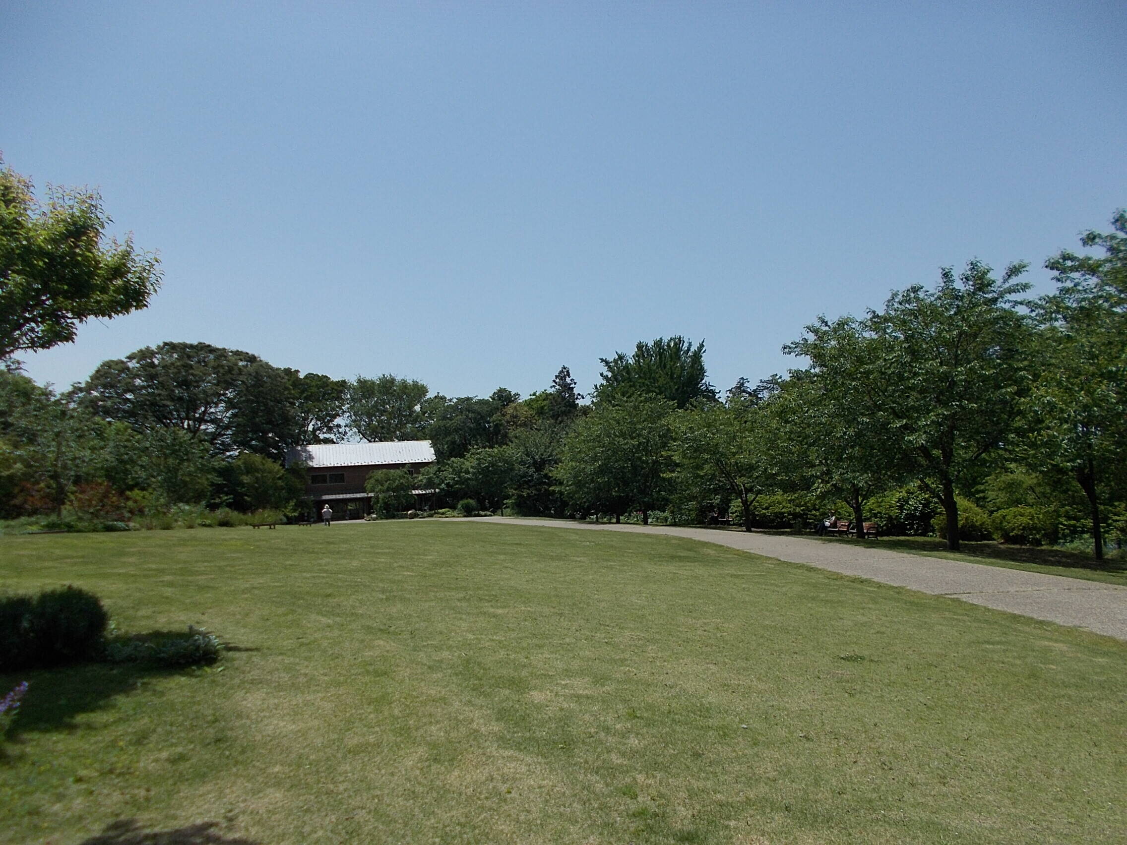 夏のような一日の写真