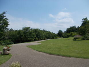 あじさいの季節vol.３