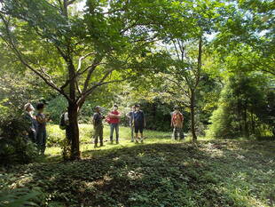 庭園散歩(7月26日)