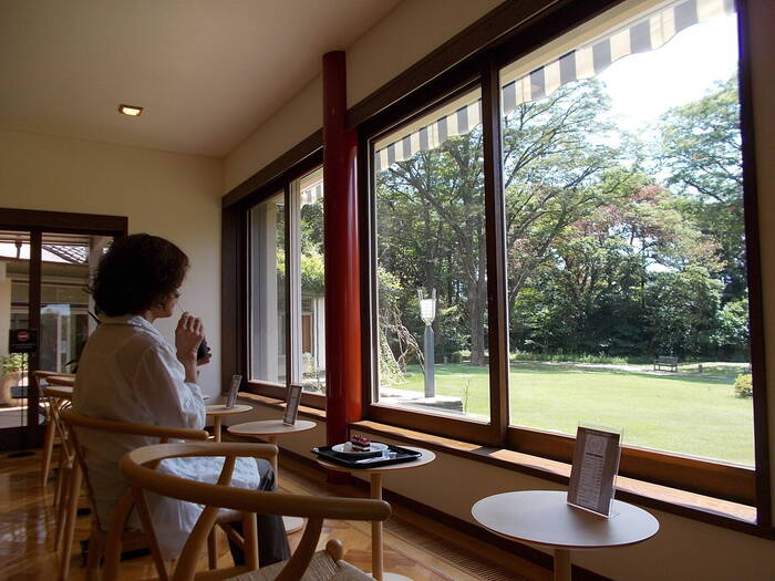 DSCN6233.jpg