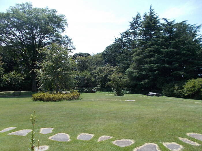 DSCN6229.jpg