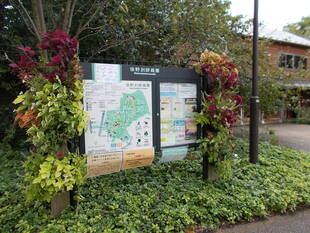 秋色ハンギング