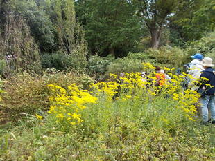 庭園散歩　秋　（9月27日）