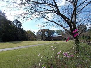 庭園は秋日和