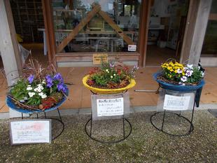 秋の休憩棟にて