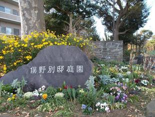 俣野別邸庭園 冬の花 vol.3