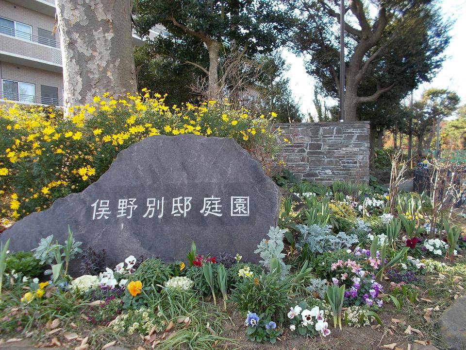 俣野別邸庭園 冬の花 vol.3の写真