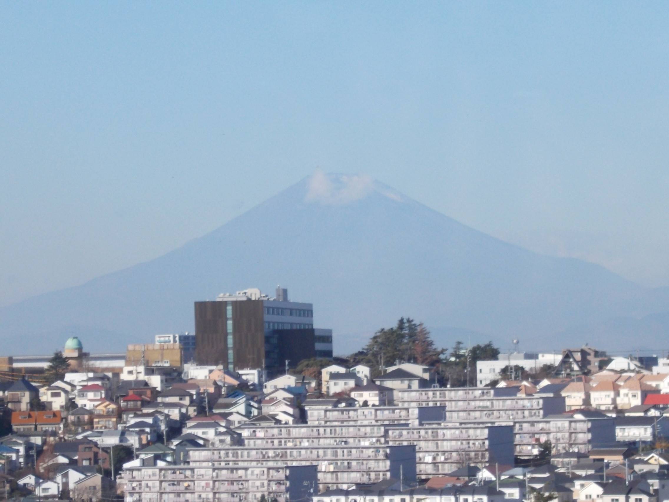 令和2年を振り返っての写真
