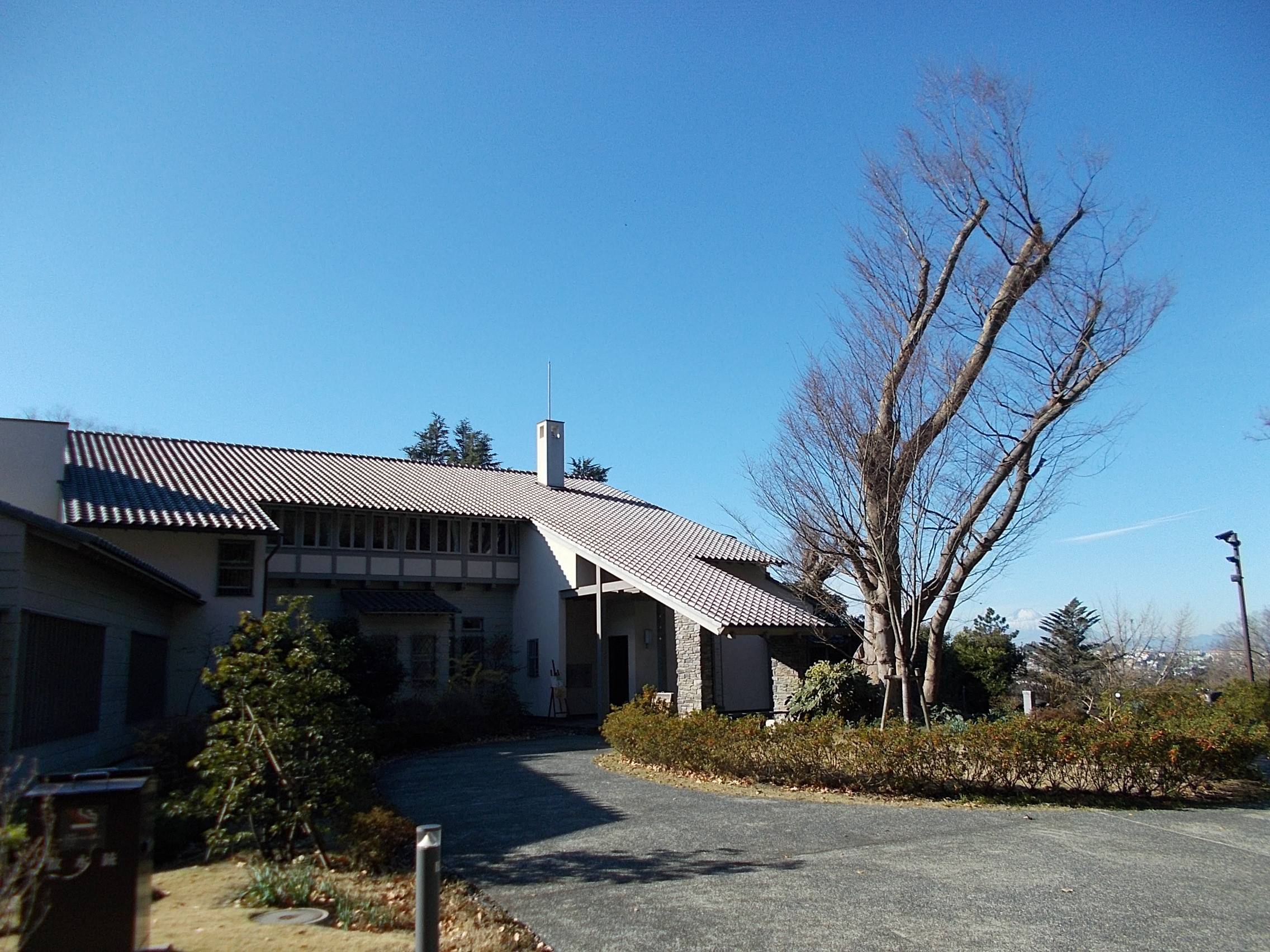 新年を迎えての写真