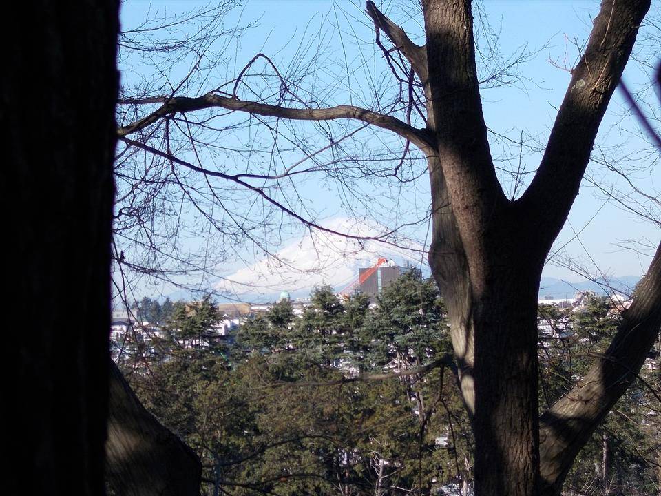 立春の写真