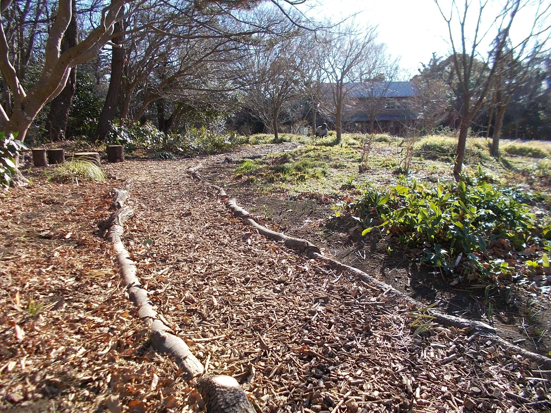 新園路完成!の写真