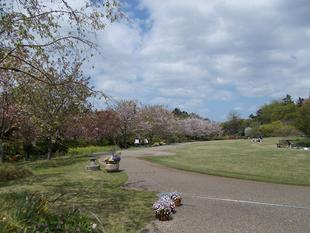 俣野別邸庭園開花情報【4月3日号】