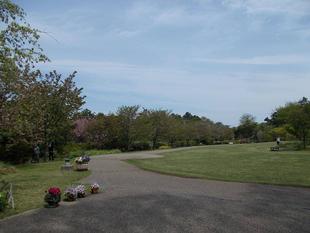 俣野別邸庭園開花情報【4月8日号】