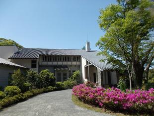 若葉萌える季節