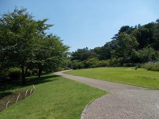 真夏のような日